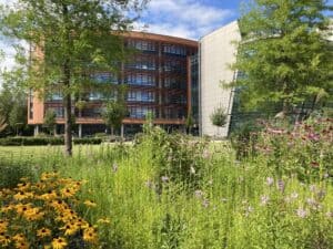 DMU Campus 3